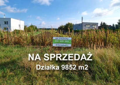 parcel for sale - Poznań, Spławie, Szczepankowo