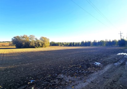 działka na sprzedaż - Tarnowo Podgórne (gw), Ceradz Kościelny