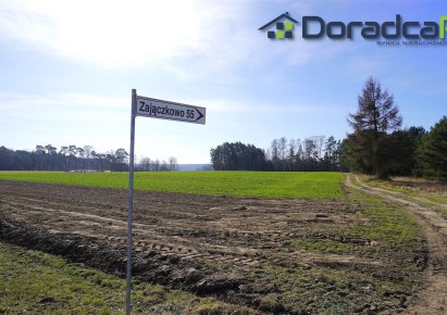 parcel for sale - Pniewy (gw), Zajączkowo